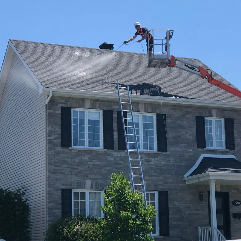 shingle saver.jpg